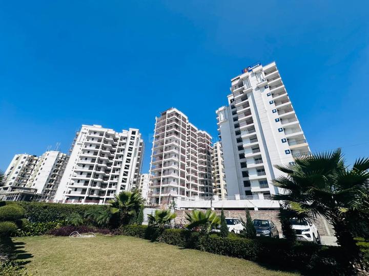 /international/in/sector-91-mohali-punjab-250105442375/