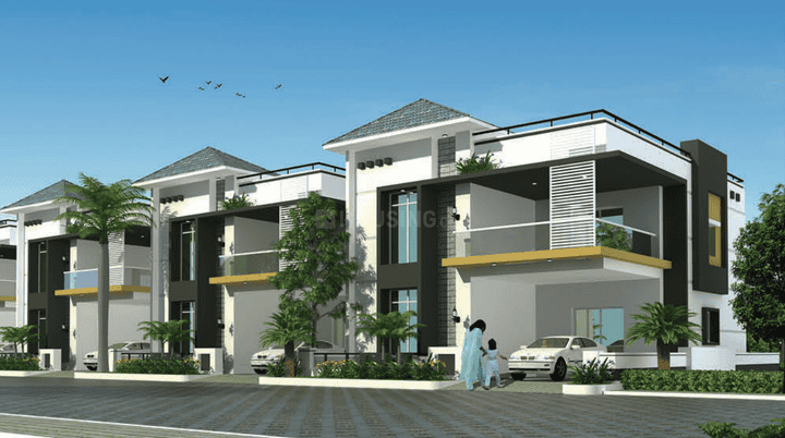 /international/in/ameenpur-sangareddy-andhra-pradesh-250107066438/