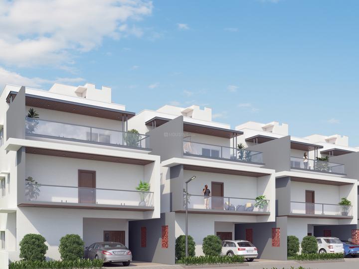 /international/in/anekal-bengaluru-karnataka-250106358078/