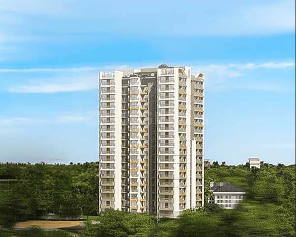 /international/in/maradu-kochi-kerala-250106016753/