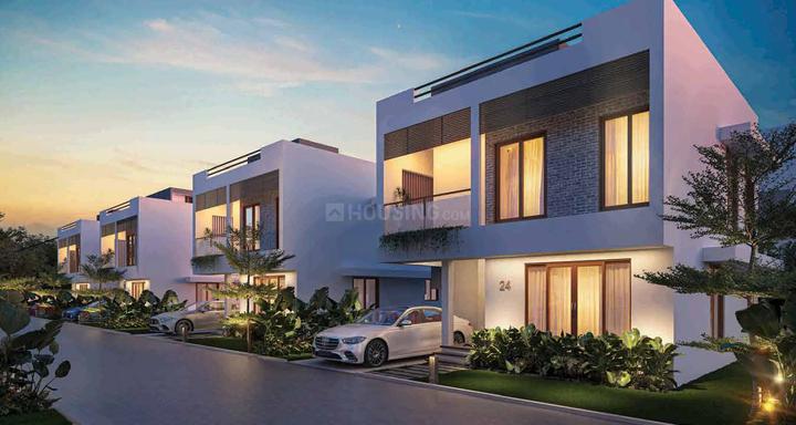 /international/in/korani-thiruvananthapuram-kerala-250105471452/