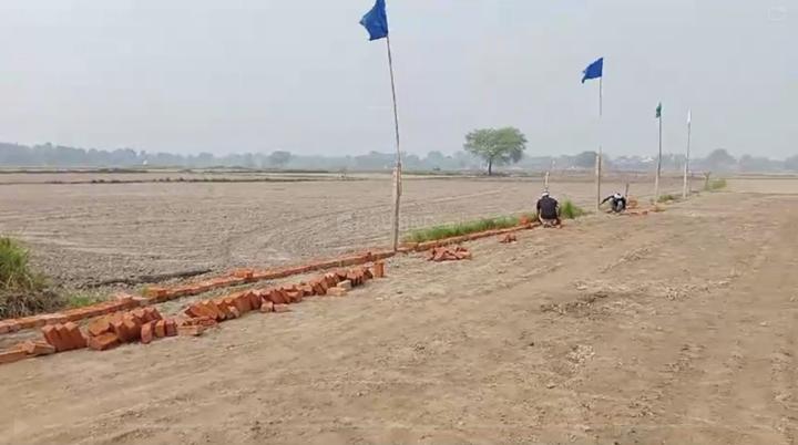 /international/in/choorahansi-mathura-uttar-pradesh-250107220424/