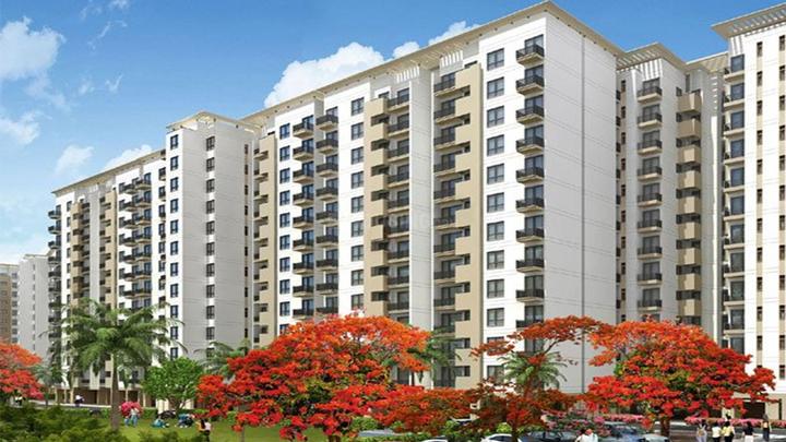 /international/in/jigani-bengaluru-karnataka-250106631191/