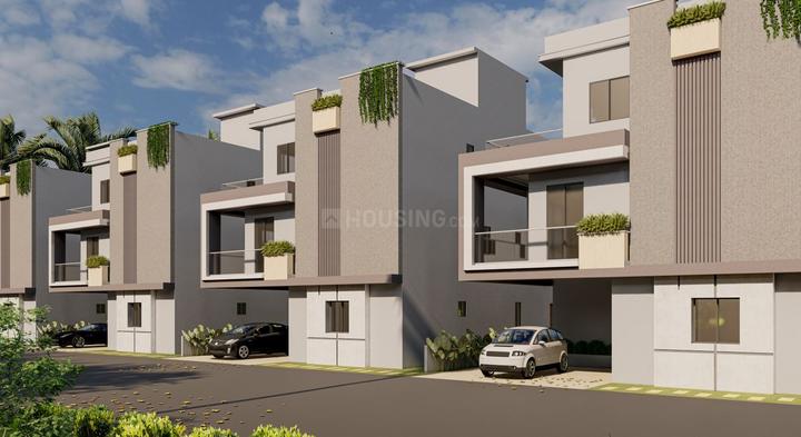 /international/in/velimela-sangareddy-andhra-pradesh-250106384336/