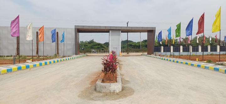 /international/in/shadnagar-ranga-reddy-andhra-pradesh-250105481113/