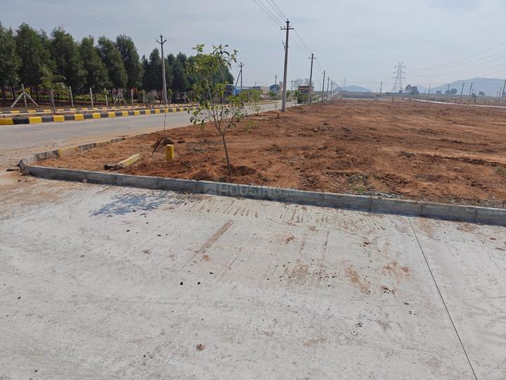 /international/in/amangal-ranga-reddy-andhra-pradesh-250105826352/