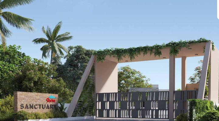 /international/in/alangad-kochi-kerala-250105471318/