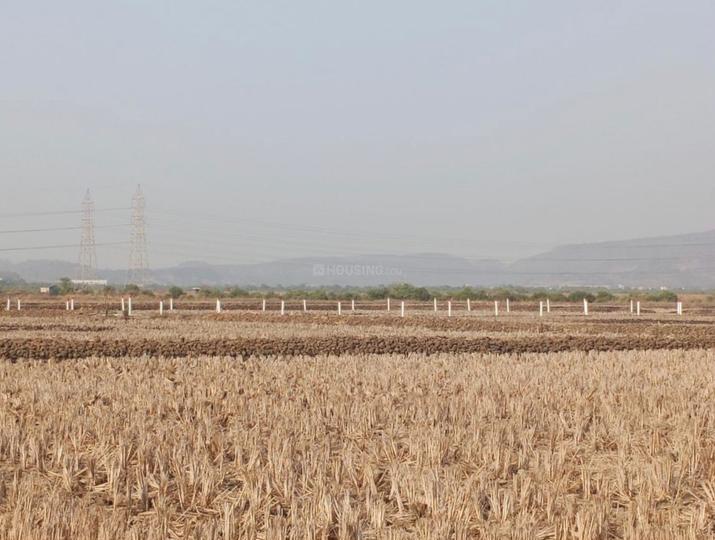 /international/in/belondakhar-navi-mumbai-maharashtra-250108288729/