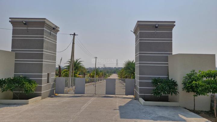 /international/in/kandi-sangareddy-andhra-pradesh-250107836167/