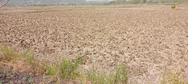 /international/in/jui-mansarovar-navi-mumbai-maharashtra-250108458164/