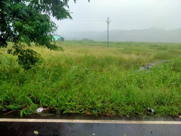 /international/in/sarde-navi-mumbai-maharashtra-250107065342/