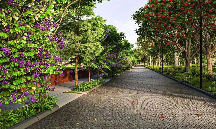 /international/in/devanahalli-bengaluru-karnataka-250108951496/