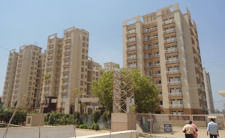 /international/in/sector-70-gurgaon-haryana-250108288815/