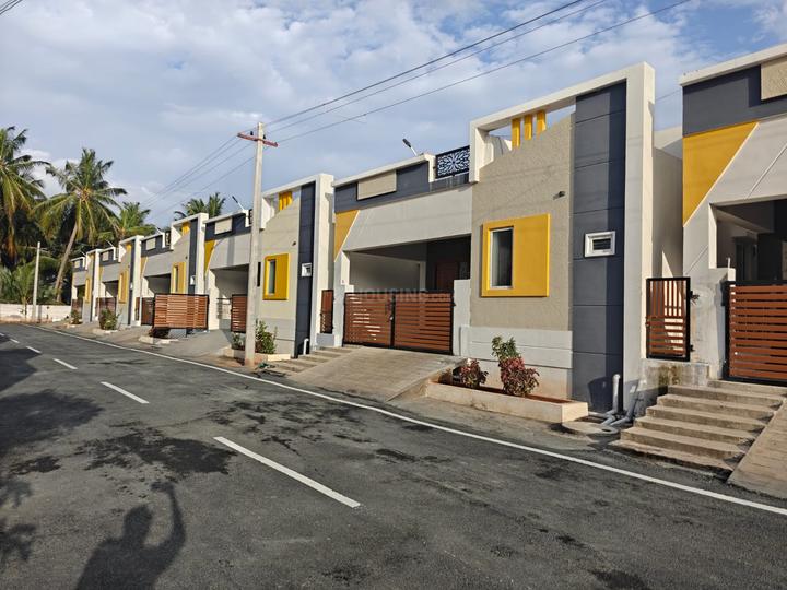 /international/in/karamadai-coimbatore-tamil-nadu-250105488820/