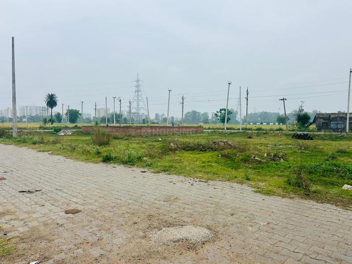 /international/in/gazipur-zirakpur-punjab-250106747308/
