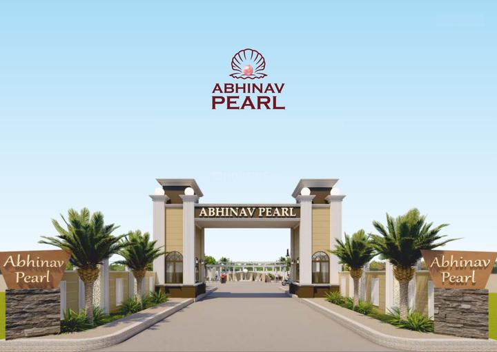 /international/in/ayodhya-bypass-bhopal-madhya-pradesh-250108867979/