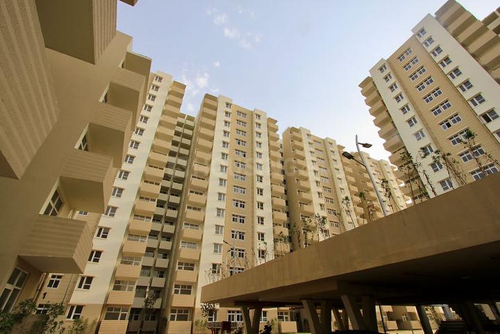/international/in/sector-69-gurgaon-haryana-250109077952/