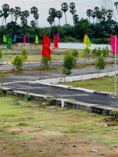 /international/in/thiruvallur-chennai-tamil-nadu-250107364474/