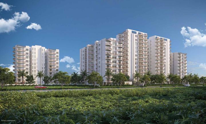 /international/in/betkuchi-guwahati-assam-250105466964/