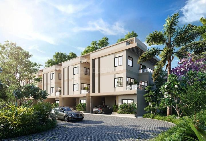 /international/in/ramchandpura-jaipur-rajasthan-250105479817/
