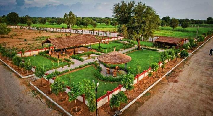 /international/in/chimanpura-jaipur-rajasthan-250105477821/