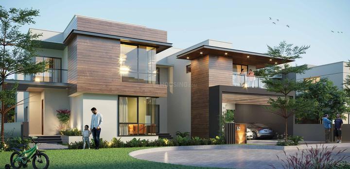 /international/in/kuttoor-thrissur-kerala-250107589488/