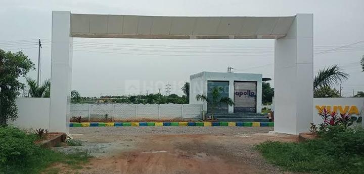 /international/in/shadnagar-ranga-reddy-andhra-pradesh-250105456087/