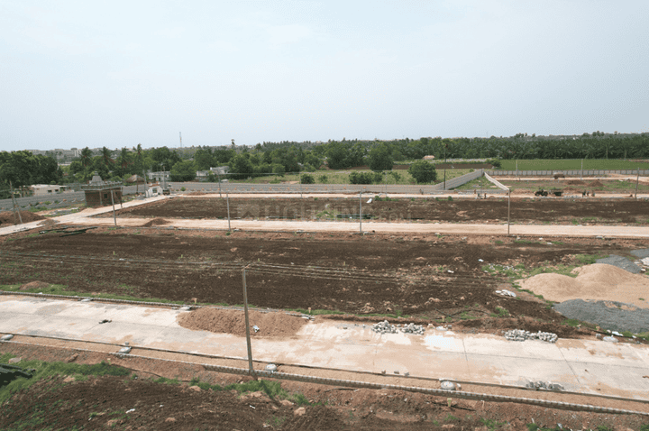 /international/in/vuyyuru-krishna-andhra-pradesh-250108186138/
