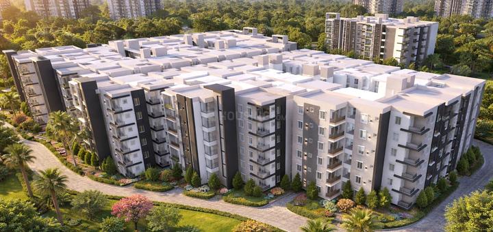 /international/in/ameenpur-sangareddy-andhra-pradesh-250107043519/