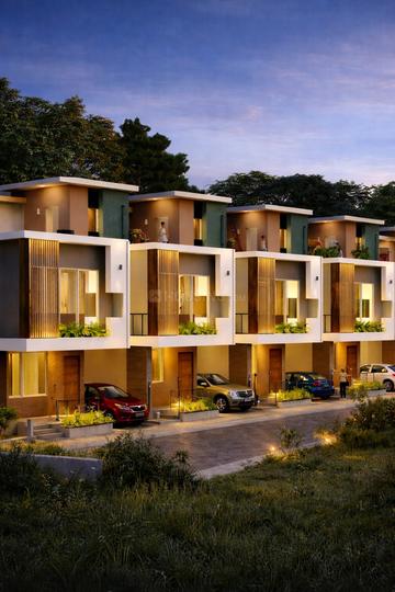 /international/in/sancoale-goa-goa-250106077517/