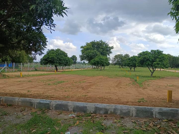 /international/in/medchal-secunderabad-andhra-pradesh-250106292125/