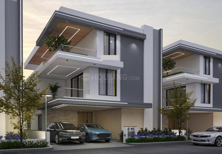 /international/in/pati-sangareddy-andhra-pradesh-250107495760/
