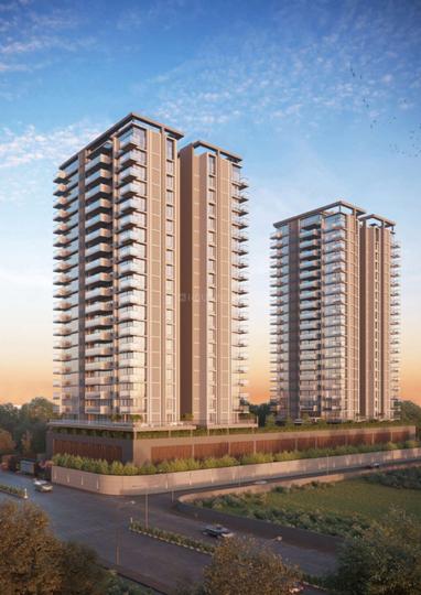 /international/in/ambli-ahmedabad-gujarat-250109125625/