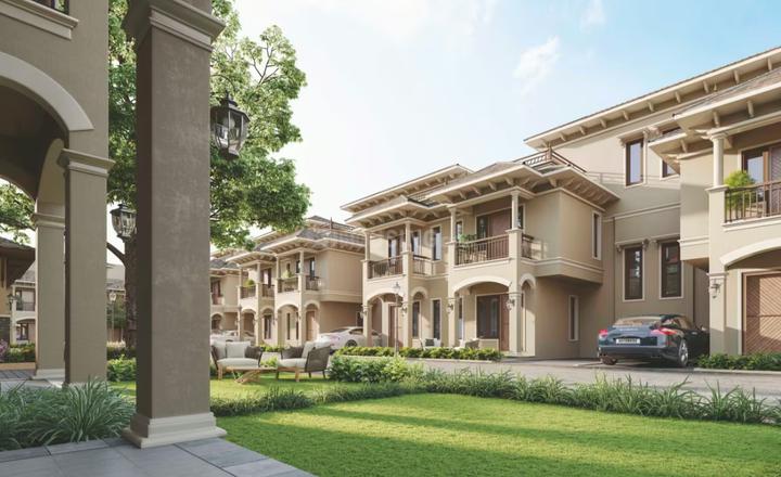 /international/in/kasindra-ahmedabad-gujarat-250107563473/