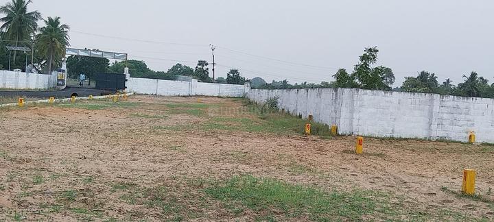 /international/in/kalapet-viluppuram-tamil-nadu-250105964624/