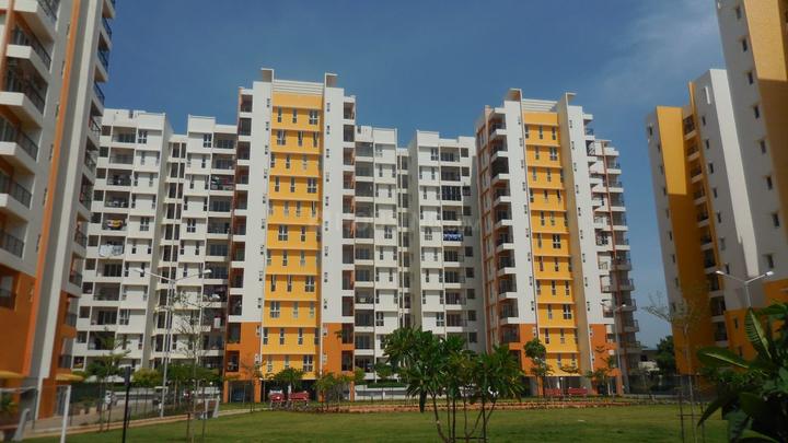 /international/in/pallavaram-chennai-tamil-nadu-250105451531/