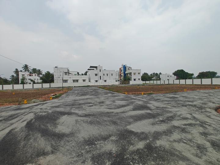 /international/in/thudiyalur-coimbatore-tamil-nadu-250105486911/
