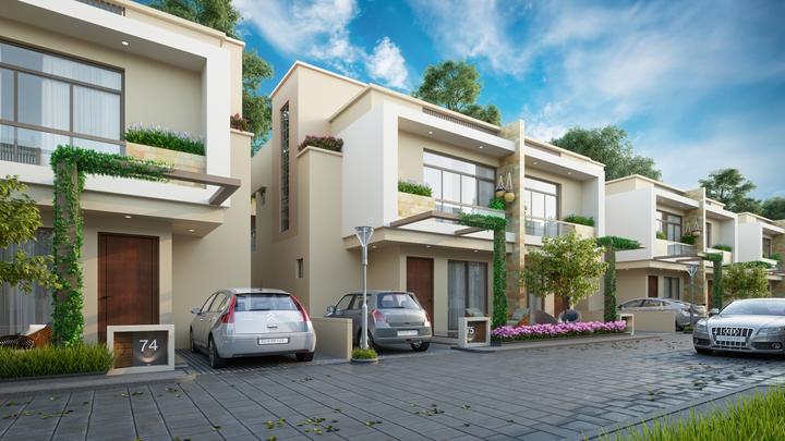 /international/in/dabhoi-vadodara-gujarat-250107790047/