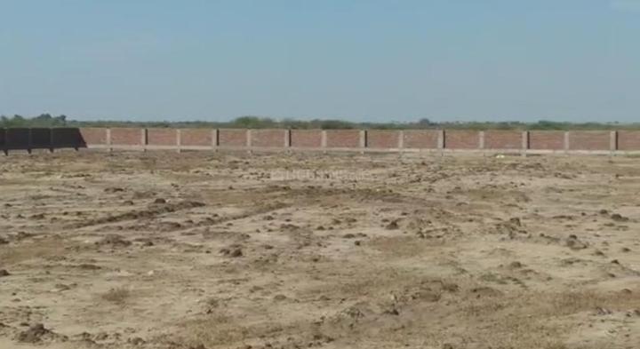 /international/in/dholera-ahmedabad-gujarat-250105815539/