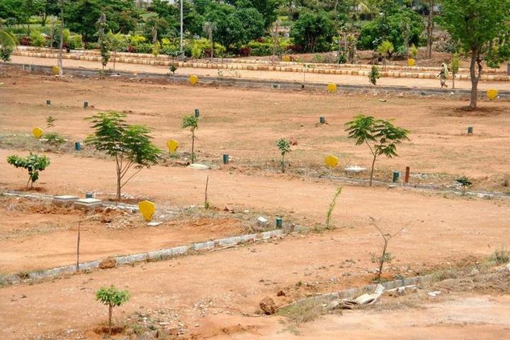 /international/in/devdholera-ahmedabad-gujarat-250105942233/