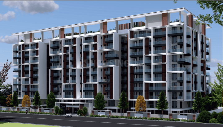 /international/in/tadepalli-guntur-andhra-pradesh-250107248108/