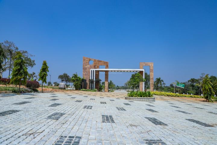 /international/in/kannegowdana-koppalu-mysore-karnataka-250107677682/