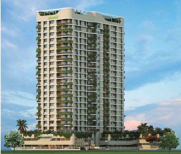 /international/in/maradu-kochi-kerala-250109149641/