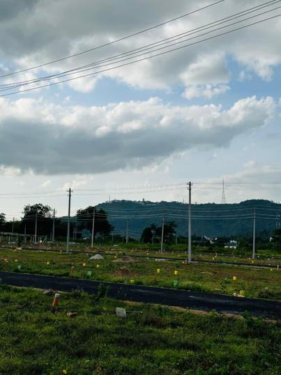 /international/in/sarakariuthanahalli-mysore-karnataka-250105942088/