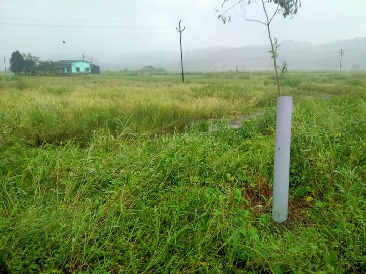 /international/in/punade-raigad-maharashtra-250107065337/