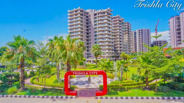 /international/in/nabha-zirakpur-punjab-250106265829/