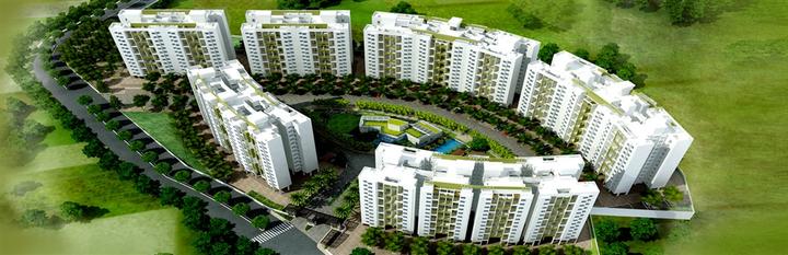 /international/in/yewalewadi-pune-maharashtra-250107862657/