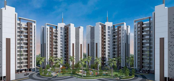 /international/in/pisoli-pune-maharashtra-250105446220/