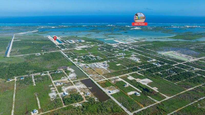 /international/bz/canal-front-property-ambergris-caye-ambergris-caye-ambergris-caye-ambergris-caye-belize-city-310098445849/?lang=zh-tw