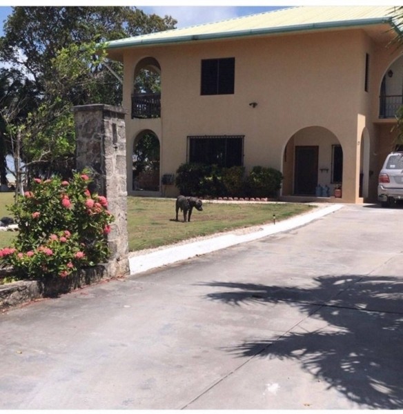 /international/bz/corozal-corozal-corozal-district-310104832105/